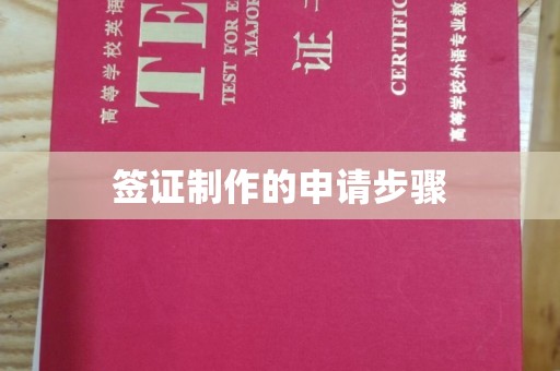 昆明签证制作的申请步骤